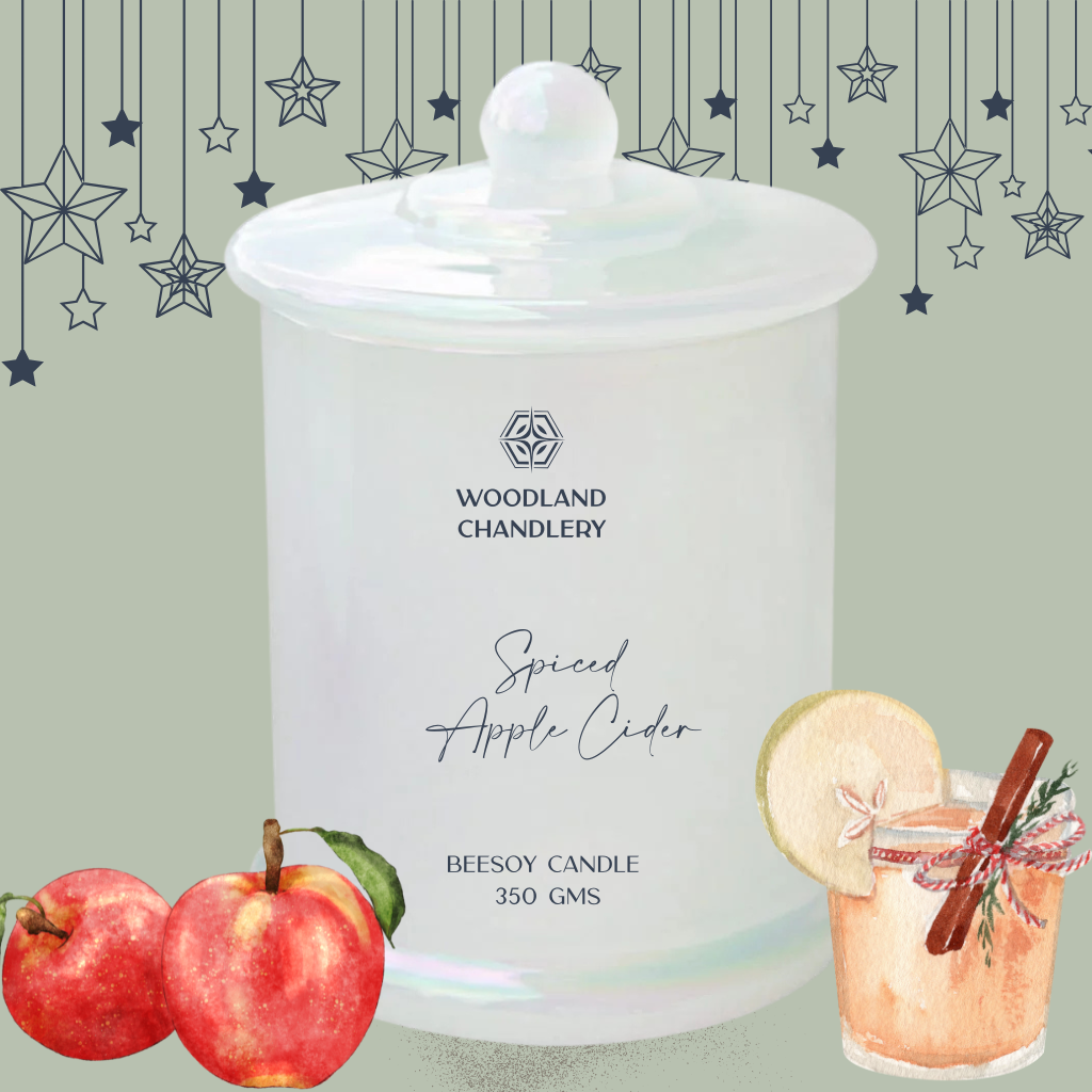 Spiced Apple Cider - Apothecary candle