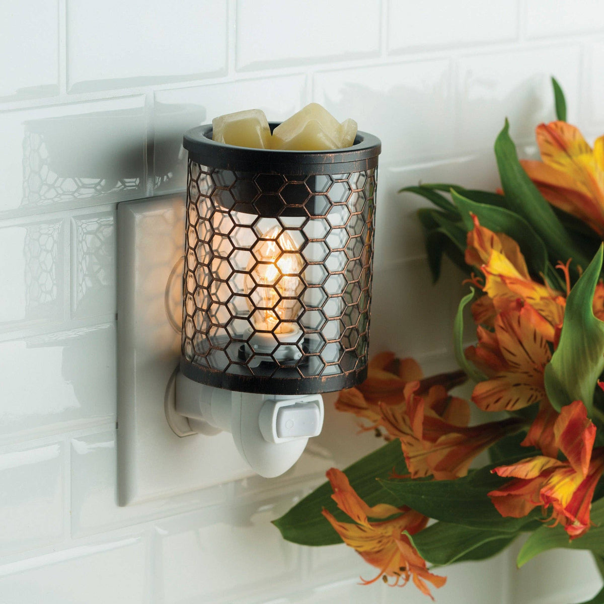 Country chicken pluggable warmer