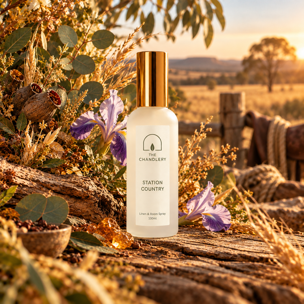 Station Country room spray surrounded by golden grasses, wildflowers and weathered timber in sunlit Australian station country.